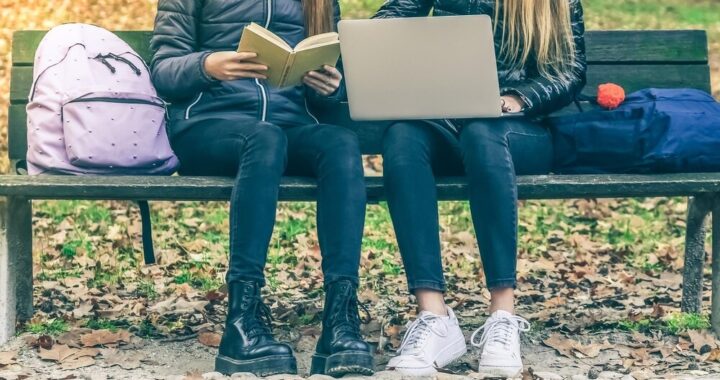 potwierdzona-wysoka-jako-----kszta--cenia--szko--y-auto-3527