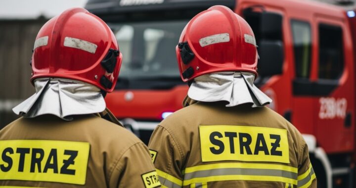 czujki-rozesz--y-si---w-mgnieniu-oka--stra--acy-za-auto-6820