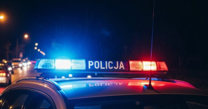 g--osujmy-w-plebiscycie--super-dzielnicowy-2026--n-auto-489