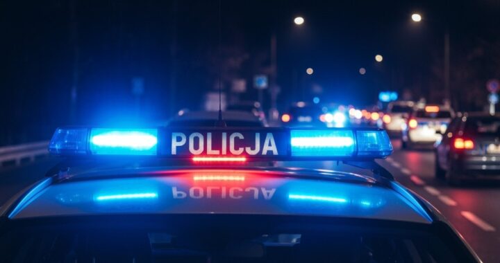 -dzielnicowybli--ejnas---ujawnienie-3-poszukiwanyc-auto-472